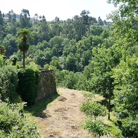 Quinta De Fornelo - Familia Campos Holiday home Amarante