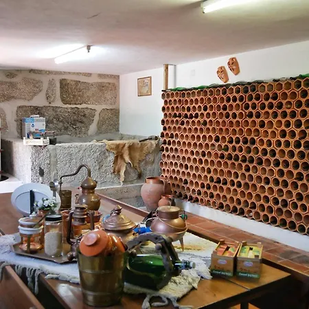 Quinta De Fornelo - Familia Campos Amarante