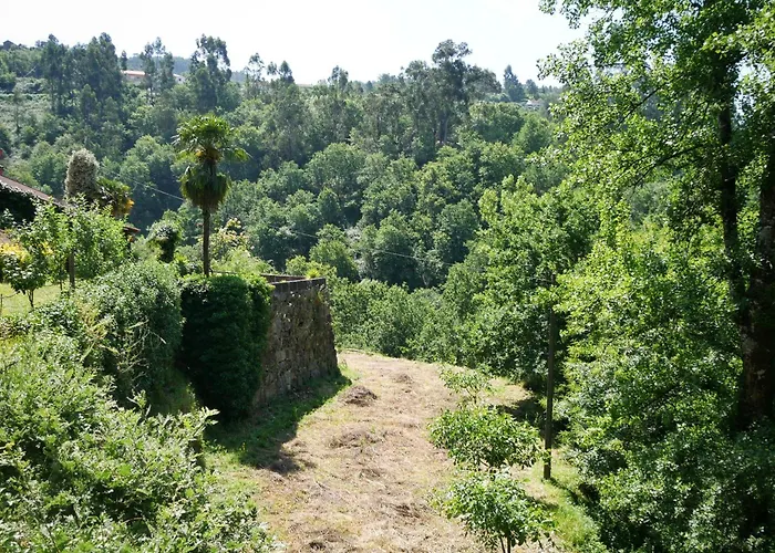 Quinta De Fornelo - Familia Campos 펜션 아마란테